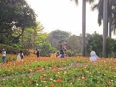 -云溪植物园