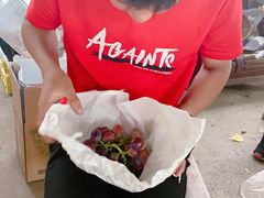 -马陆小张葡萄园农家乐