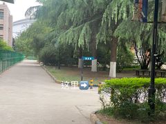 -陕西省游泳跳水馆