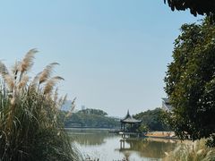 -江心屿景区