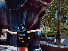 -西霞口神雕山野生动物世界