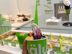 -Salud撒露欧洲冻酸奶(蓝色港湾店)
