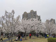 -堤角公园