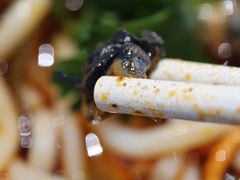 螺丝肉汤粉-红鼻子桂林米粉(金唐新光界店)