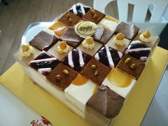 android_upload_pic-维尔纳斯·生日蛋糕动物奶油冰淇淋蛋糕(人大店)