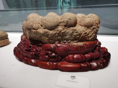 -长江文明馆