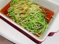白灼豆苗-火宫殿·湘菜小吃·商务宴请·生日聚会(市府店)