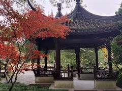 -上海醉白池公园
