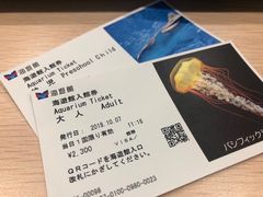 -大阪海游馆