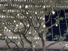 -深圳湾万象城(南山店)