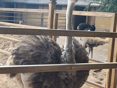 -秦皇岛野生动物园