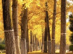 -浙江农林大学(东湖校区)