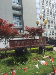 -上海市浦东新区人民医院儿科