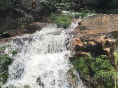 -呀诺达热带雨林