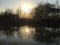 -新江湾城公园
