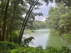 -红花湖景区