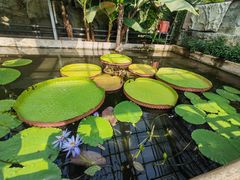 -国家植物园南园