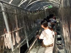 -浏阳石牛寨风景区