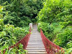-梧桐山风景名胜区