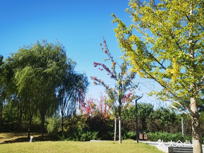 坝河休闲公园图片
