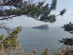 -棒棰岛宾馆景区