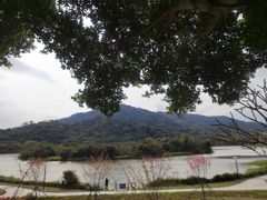 -风云岭森林公园