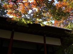 -常寂光寺