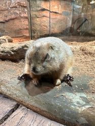 -Zoolung Zoolung动物主题公园(海信广场店)