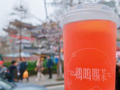 绛初匀·樱花茶-鸡鸣赐茶(鸡鸣寺路店)