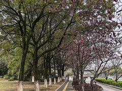 -艾溪湖湿地公园