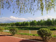-洨河生态公园