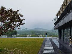 -龙坞茶村