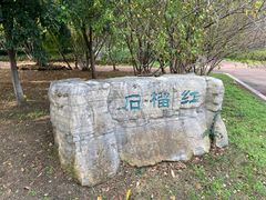 -武汉园博园(武汉自然博物馆)