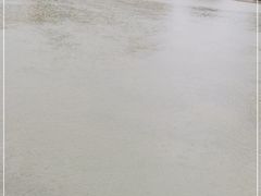 -张记酒楼(恒生·欧洲城店)