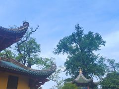-南华禅寺