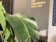 -树夏(金楠天街店)