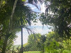 -罗浮山嘉宝田森林温泉度假酒店