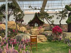 -沂蒙云瀑洞天景区