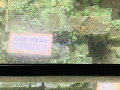 -东关历史文化旅游区-东门遗址