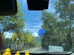 -杨梅坑