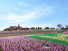 -歌斐颂巧克力小镇