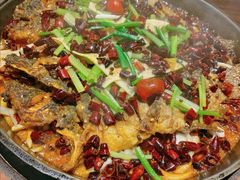 -老板恋上鱼(恒隆广场店)