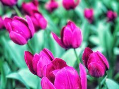 -长春公园(普阳街道)