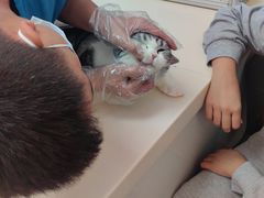 -宠颐生中康贝怡动物医院