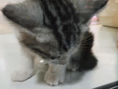 -乐宠宠物店(世纪金源店)