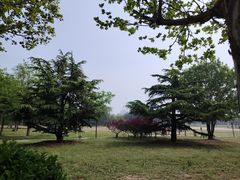 -太阳宫公园