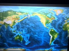 -约翰·菲茨杰拉德·肯尼迪国际机场