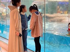 -帝企鹅自助餐厅•儿童岛•真企鹅(长隆企鹅酒店)