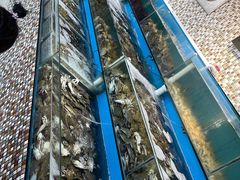 -港畔赶海蒸汽海鲜烧烤自助(仙螺岛店)