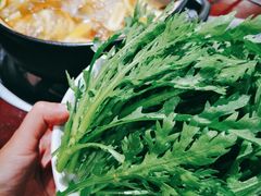 -菌之家·专业纯野生菌火锅·特色炒菌